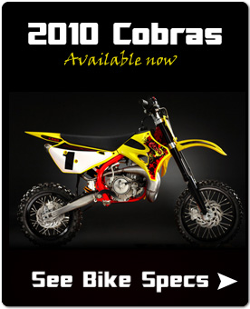 2010 Cobras Available Now
